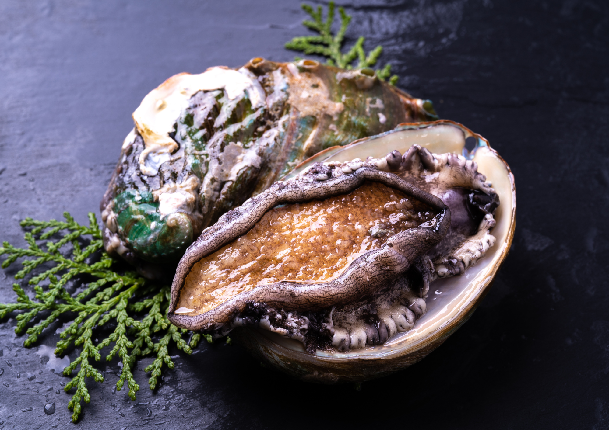 山梨名物　あわびの煮貝